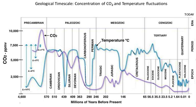 Graf med geologisk tidsskala som visar koncentration av koldioxid och temperaturskillnader över 600 miljoner år