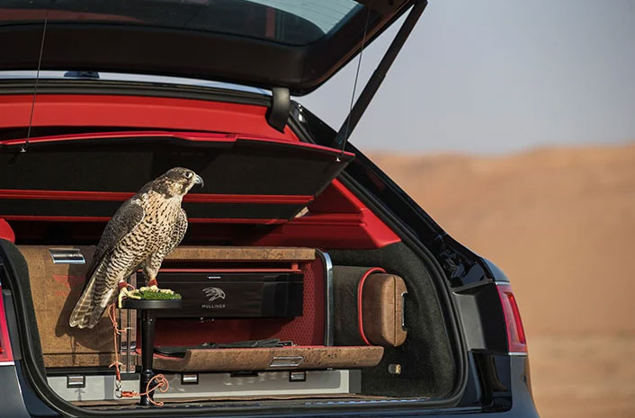 En falk sitter på en sittpinne i bagageutrymmet på en Bentley Bentayga, framför korkklädda lådor märkta Mulliner. I bakgrunden syns öken.
