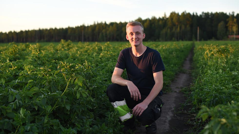 Filip Axelsson, lantmästare och potatisodlare sitter på huk vid sin potatisodling.