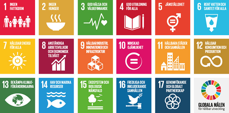 SDG:erna: De 17 globala målen för hållbar utveckling